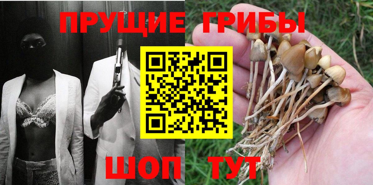 Псилоцибиновые грибы Psilocybine cubensis Бийск